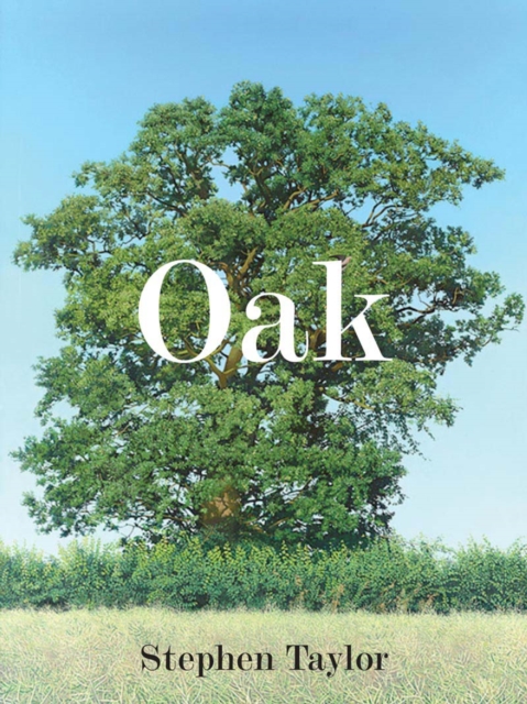 Oak : One Tree, Three Years, Fifty Paintings, Hardback Book