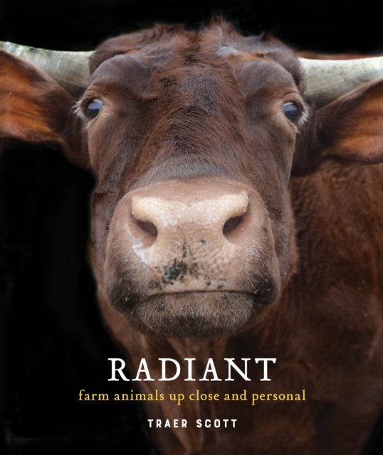 Radiant : Farm Animals Up Close and Personal, Hardback Book
