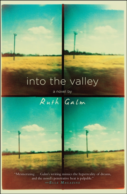 Into the Valley : A Novel, EPUB eBook