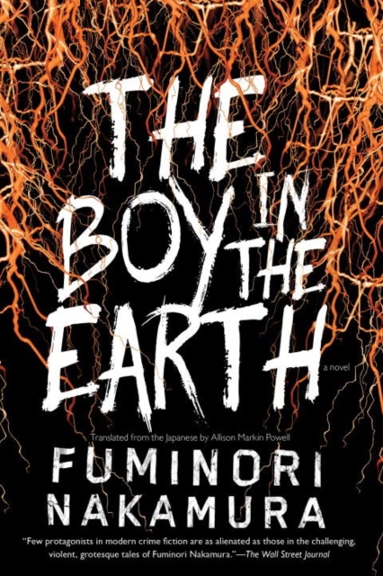 Boy In The Earth, Hardback Book