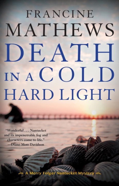 Death In A Cold Hard Light : A Merry Folger Nantucket Mystery, Paperback / softback Book