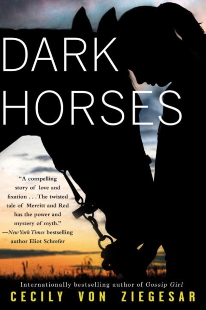 Dark Horses, Paperback / softback Book