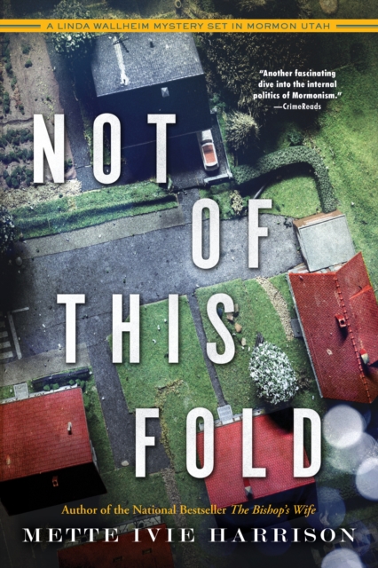 Not of This Fold, EPUB eBook