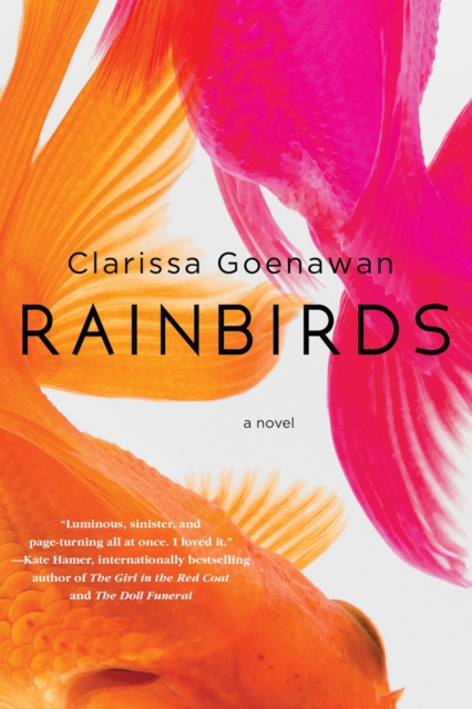 Rainbirds, Paperback / softback Book