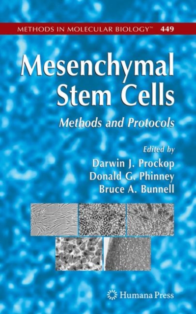 Mesenchymal Stem Cells : Methods and Protocols, Paperback / softback Book