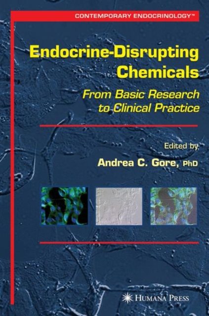 Endocrine-Disrupting Chemicals : From Basic Research to Clinical Practice, Paperback / softback Book