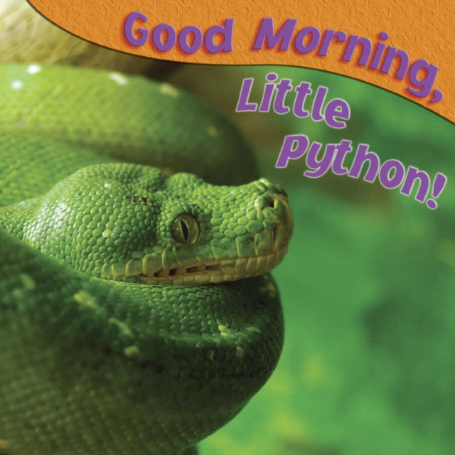 Good Morning, Little Python!, PDF eBook