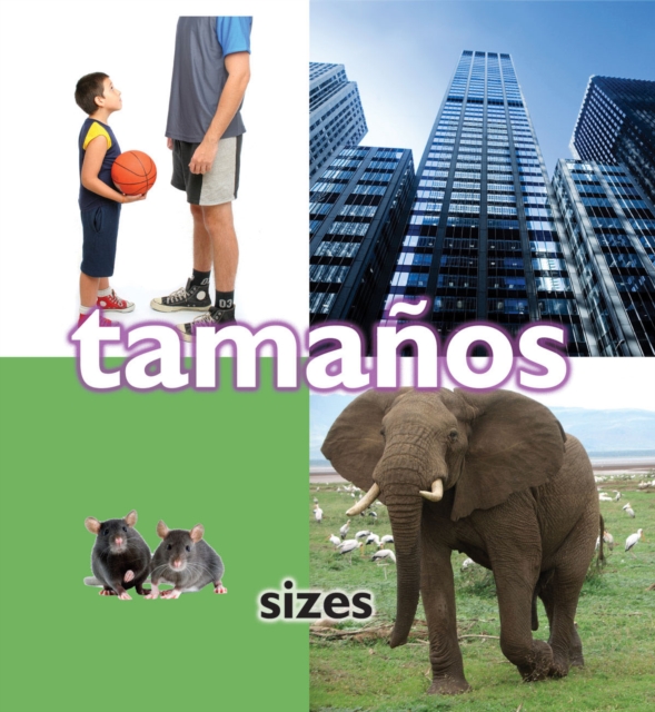 Tamanos : Sizes, PDF eBook