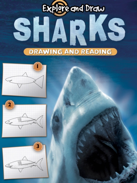 Sharks, Drawing and Reading, PDF eBook