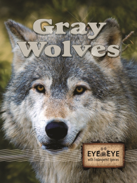 Gray Wolves, PDF eBook