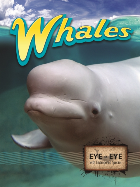 Whales, PDF eBook