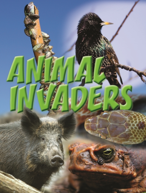 Animal Invaders, PDF eBook