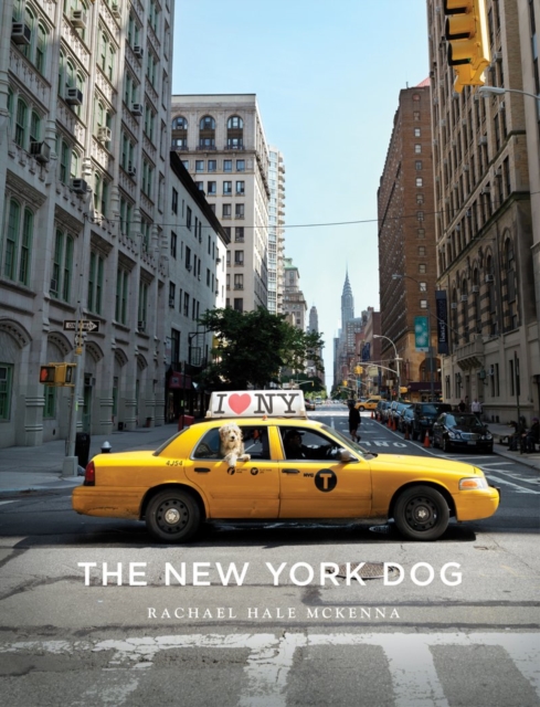 The New York Dog, Hardback Book