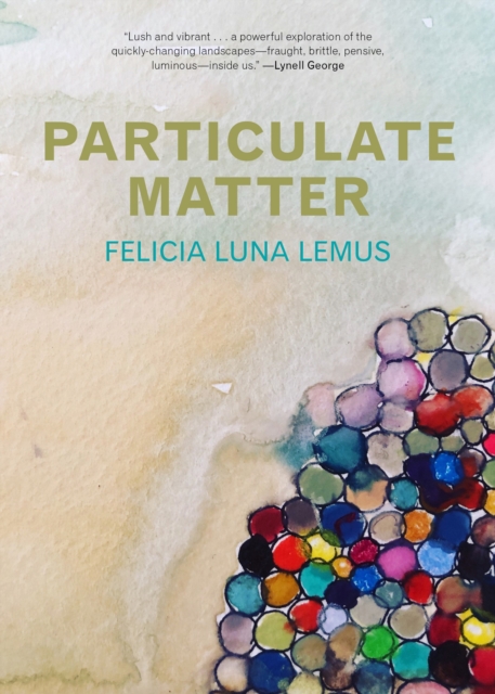 Particulate Matter, Hardback Book