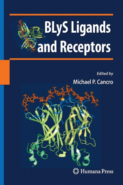 BLyS Ligands and Receptors, Paperback / softback Book