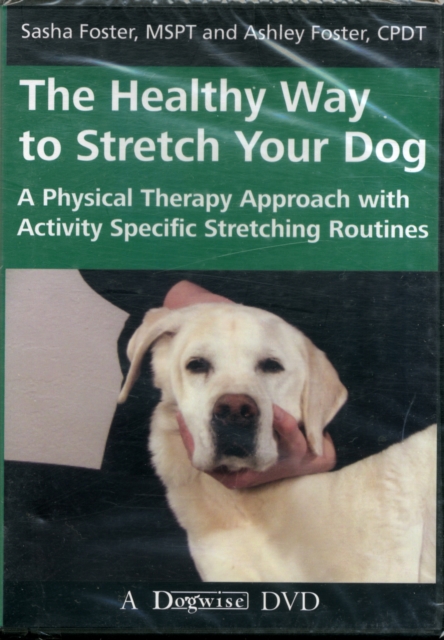 HEALTHY WAY TO STRETCH DVD,  Book