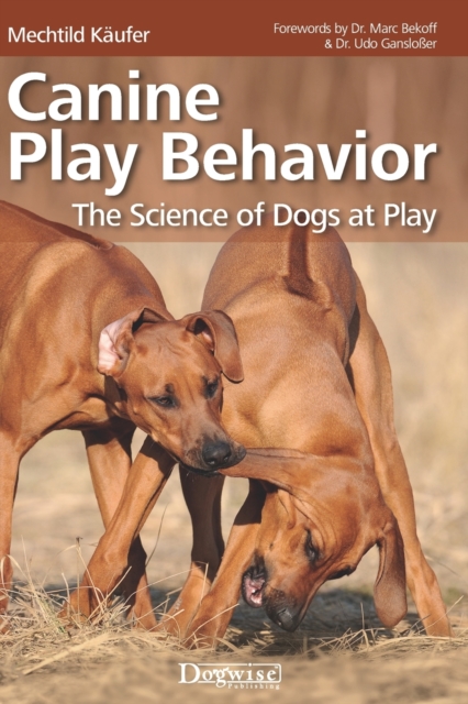 Canine Play Behavior : The Science of Dogs at Play, Paperback / softback Book