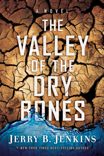 THE VALLEY OF DRY BONES : A Novel, Paperback / softback Book