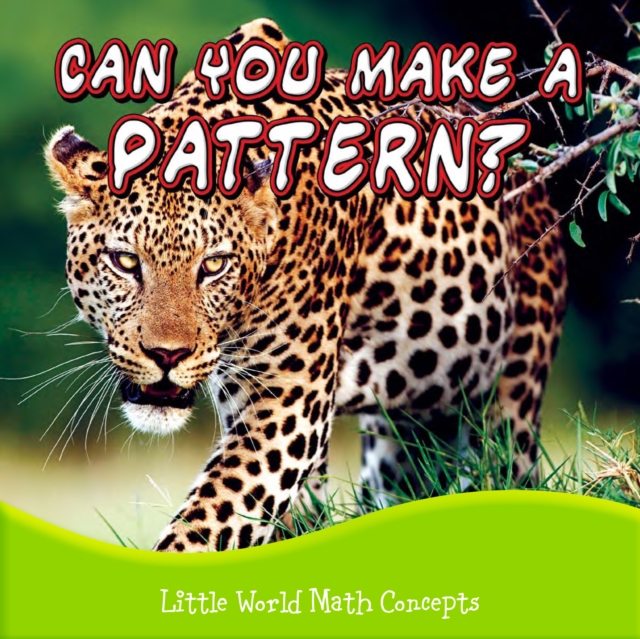 Can You Make A Pattern?, PDF eBook