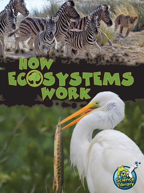 How Ecosystems Work, PDF eBook