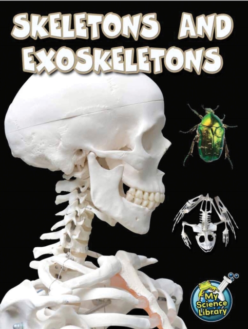 Skeletons and Exoskeletons, PDF eBook