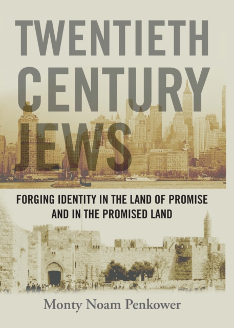 Twentieth Century Jews : Forging Identity in the Land of Promise and in the Promised Land, PDF eBook