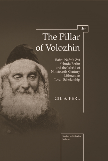 The Pillar of Volozhin : Rabbi Naftali Zvi Yehuda Berlin and the World of Nineteenth Century Lithuanian Torah Scholarship, PDF eBook