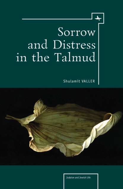 Sorrow and Distress in the Talmud, PDF eBook