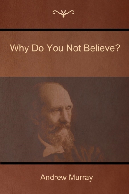 Why Do You Not Believe?, Paperback / softback Book