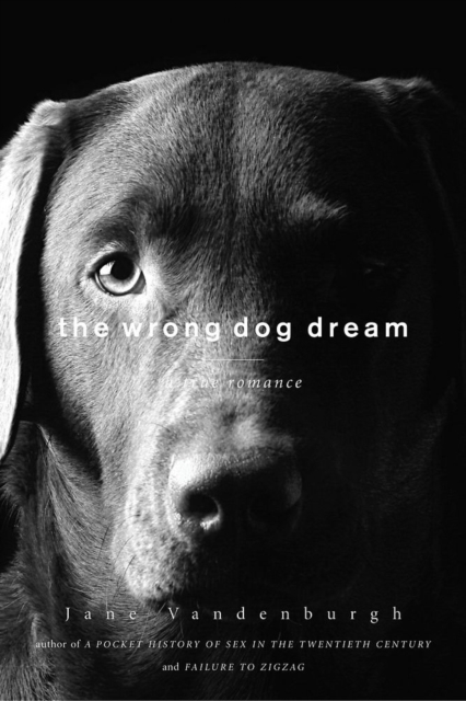 The Wrong Dog Dream : A True Romance, Hardback Book