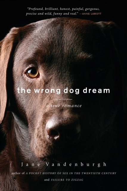 The Wrong Dog Dream : A True Romance, Paperback / softback Book