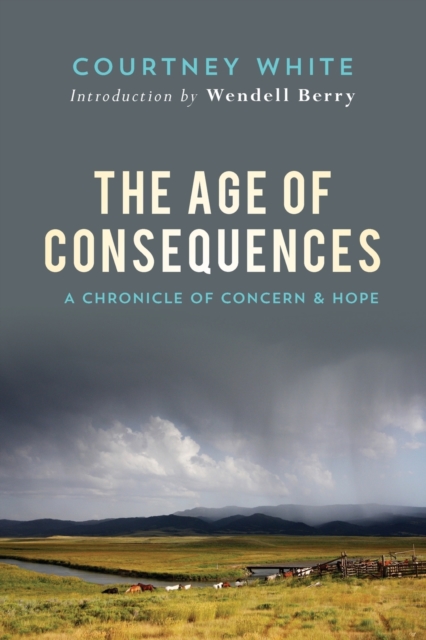 The Age Of Consequences : A Chronicle of Concern and Hope, Paperback / softback Book