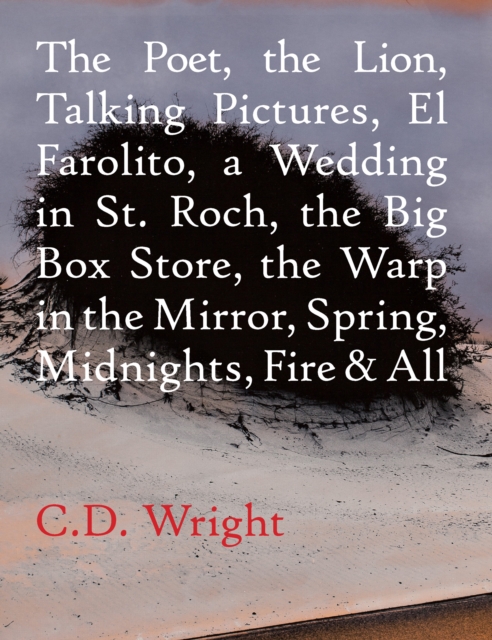 The Poet, The Lion, Talking Pictures, El Farolito, A Wedding in St. Roch, The Big Box Store, The Warp in the Mirror, Spring, Midnights, Fire & All, EPUB eBook