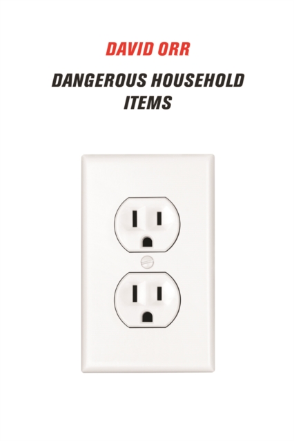 Dangerous Household Items, EPUB eBook