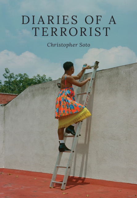Diaries of a Terrorist, EPUB eBook