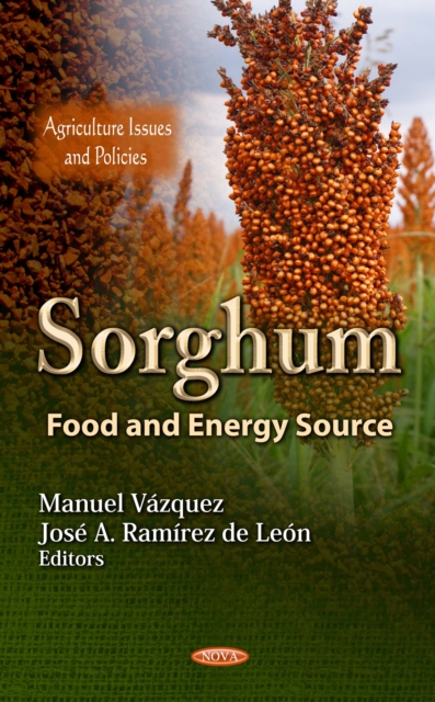 Sorghum : Food and Energy Source, PDF eBook