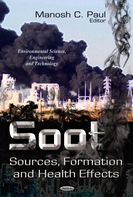 Soot : Sources, Formation and Health Effects, PDF eBook