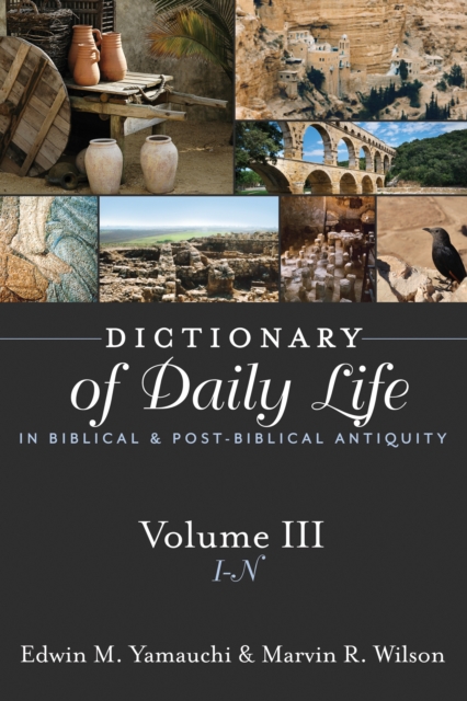 Dictionary of Daily Life in Biblical and Post-Biblical Antiquity : I-N, Paperback / softback Book