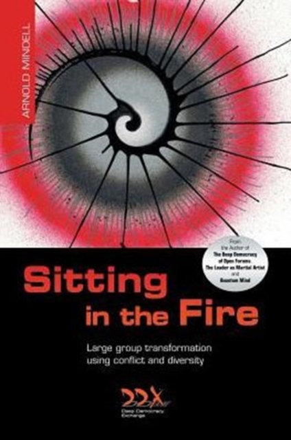 Sitting in the Fire : Large Group Transformation Using Conflict and Diversity, Paperback / softback Book