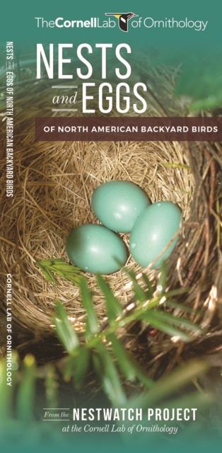 Nests and Eggs of North American Backyard Birds, Pamphlet Book