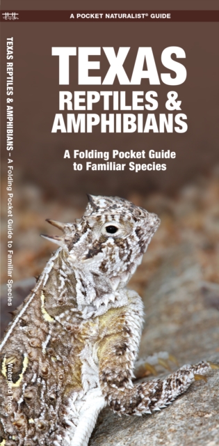 Texas Reptiles & Amphibians : A Folding Pocket Guide to Familiar Species, Pamphlet Book