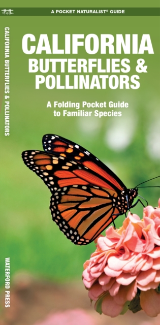 California Butterflies & Pollinators : A Folding Pocket Guide to Familiar Species, Pamphlet Book