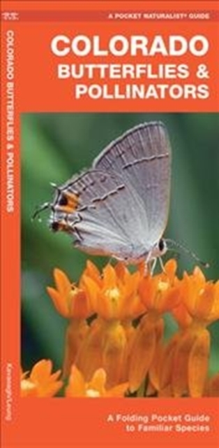 Colorado Butterflies & Pollinators : A Folding Pocket Guide to Familiar Species, Pamphlet Book