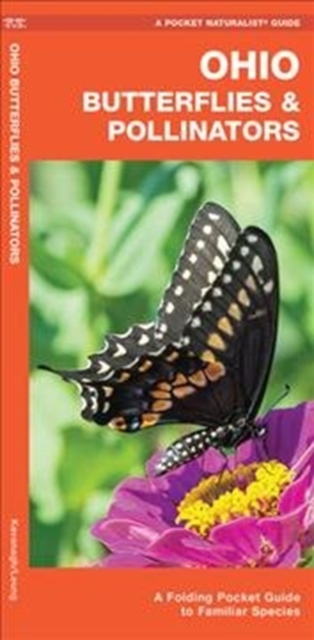 Ohio Butterflies & Pollinators : A Folding Pocket Guide to Familiar Species, Pamphlet Book