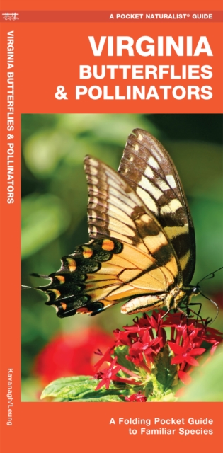 Virginia Butterflies & Pollinators : A Folding Pocket Guide to Familiar Species, Pamphlet Book