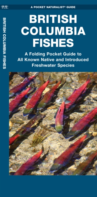 British Columbia Fishes : A Folding Pocket Guide to All Known Native and Introduced Freshwater Species, Pamphlet Book