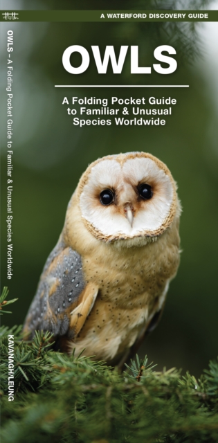 Owls : A Folding Pocket Guide to Familiar Species Worldwide, Pamphlet Book