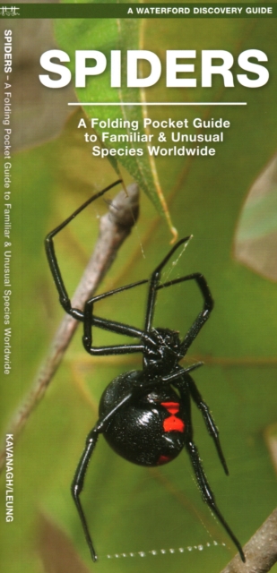 Spiders : A Folding Pocket Guide to Familiar Species Worldwide, Pamphlet Book