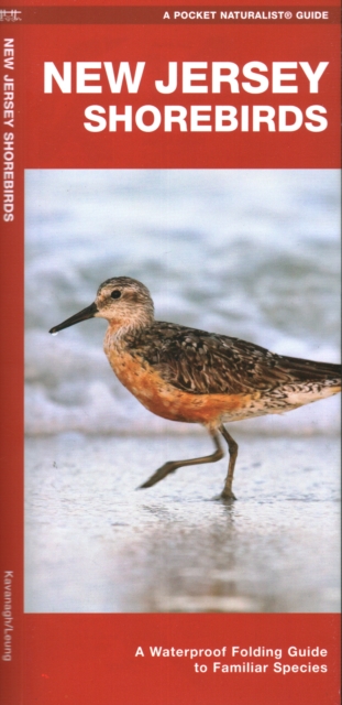 New Jersey Shorebirds : A Waterproof Folding Guide to Familiar Species, Pamphlet Book