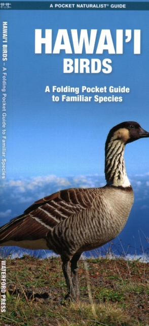 Hawai'i Birds : A Folding Pocket Guide to Familiar Species, Pamphlet Book